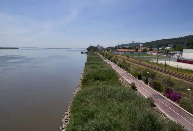 Estuário do Sado